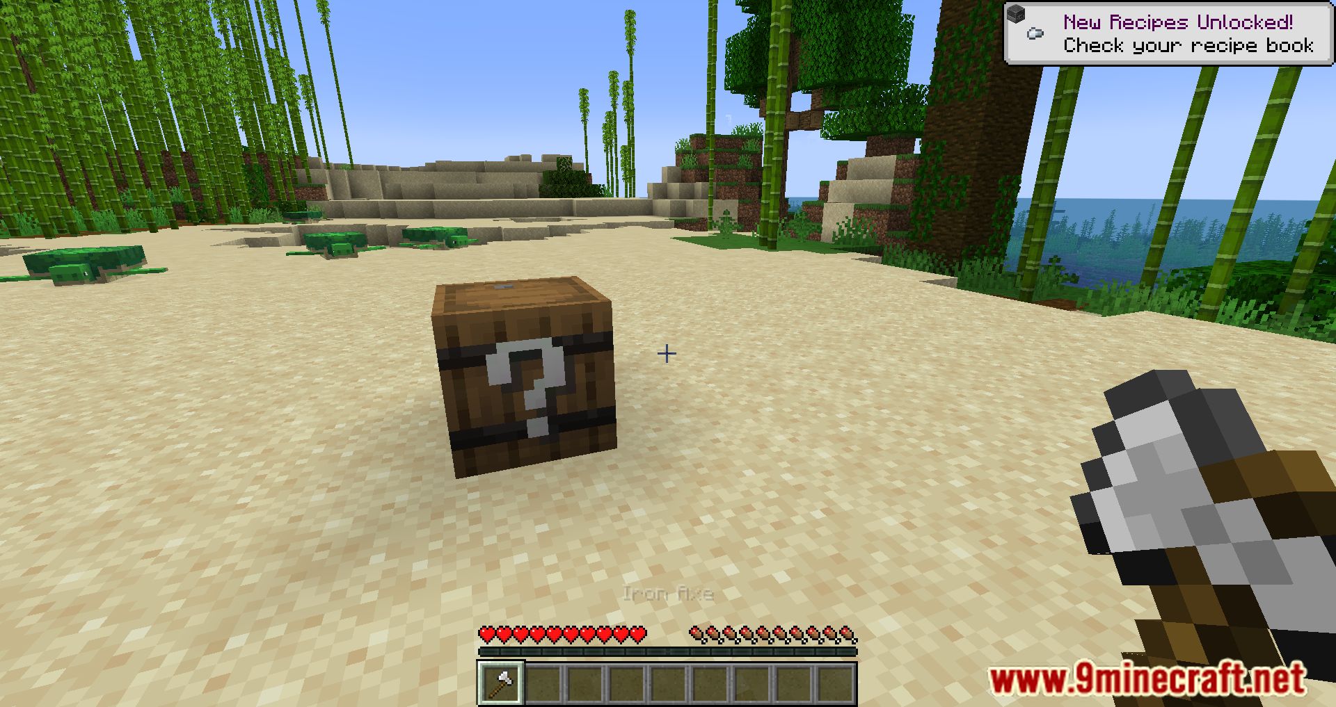 One Block Random Drop Mod (1.19, 1.18.2) - Unharvestable Block That Gives A Random Item 3