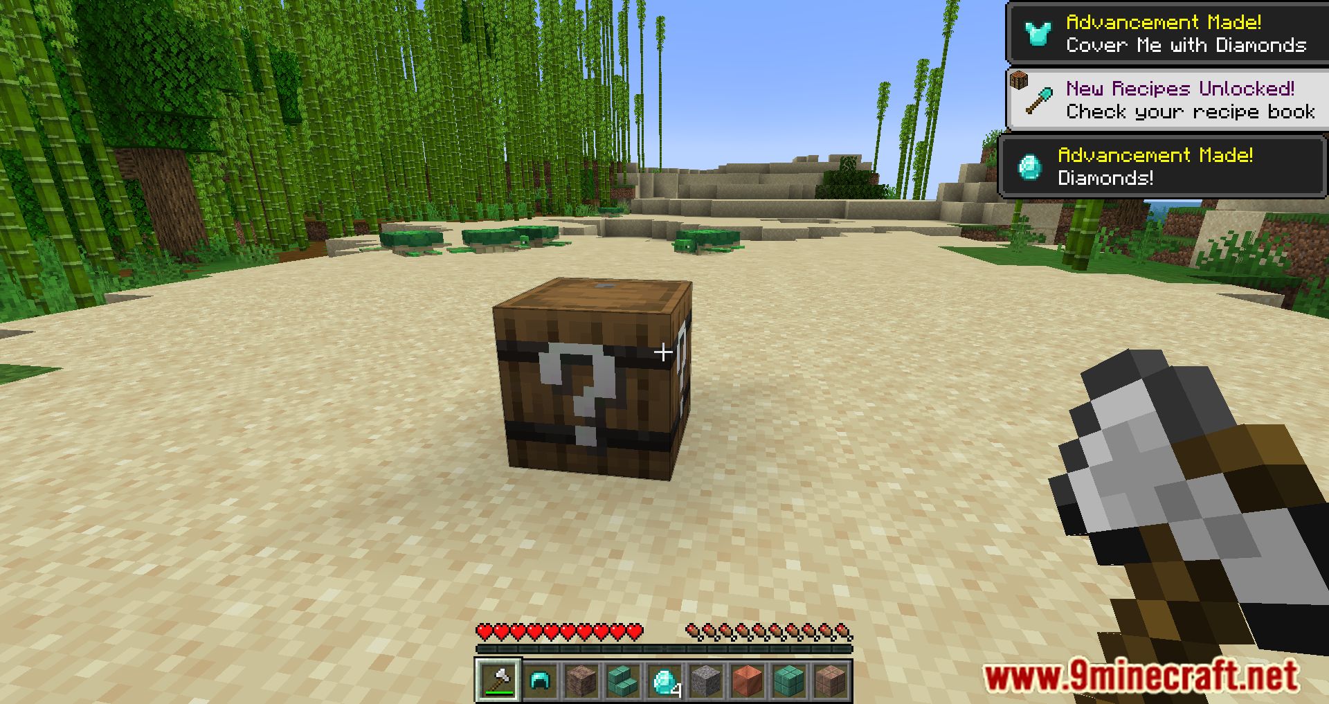 One Block Random Drop Mod (1.19, 1.18.2) - Unharvestable Block That Gives A Random Item 5