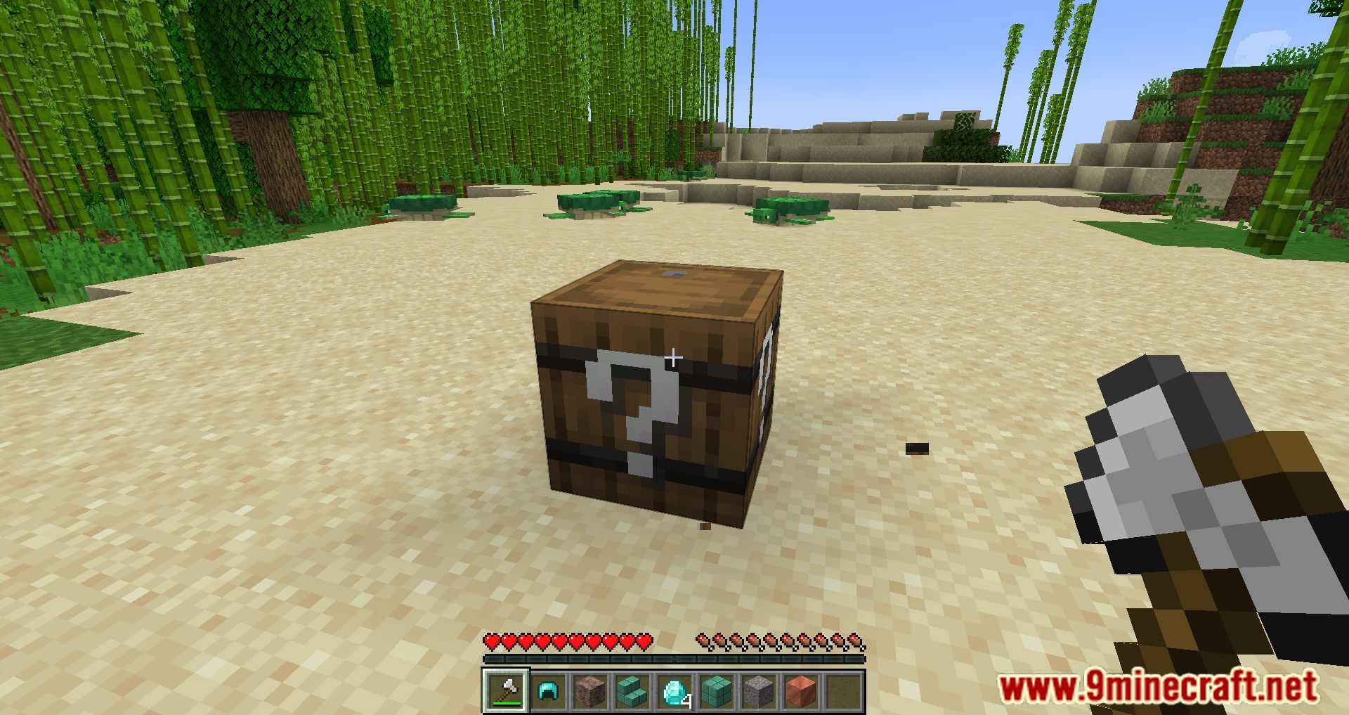 One Block Random Drop Mod (1.19, 1.18.2) - Unharvestable Block That Gives A Random Item 8