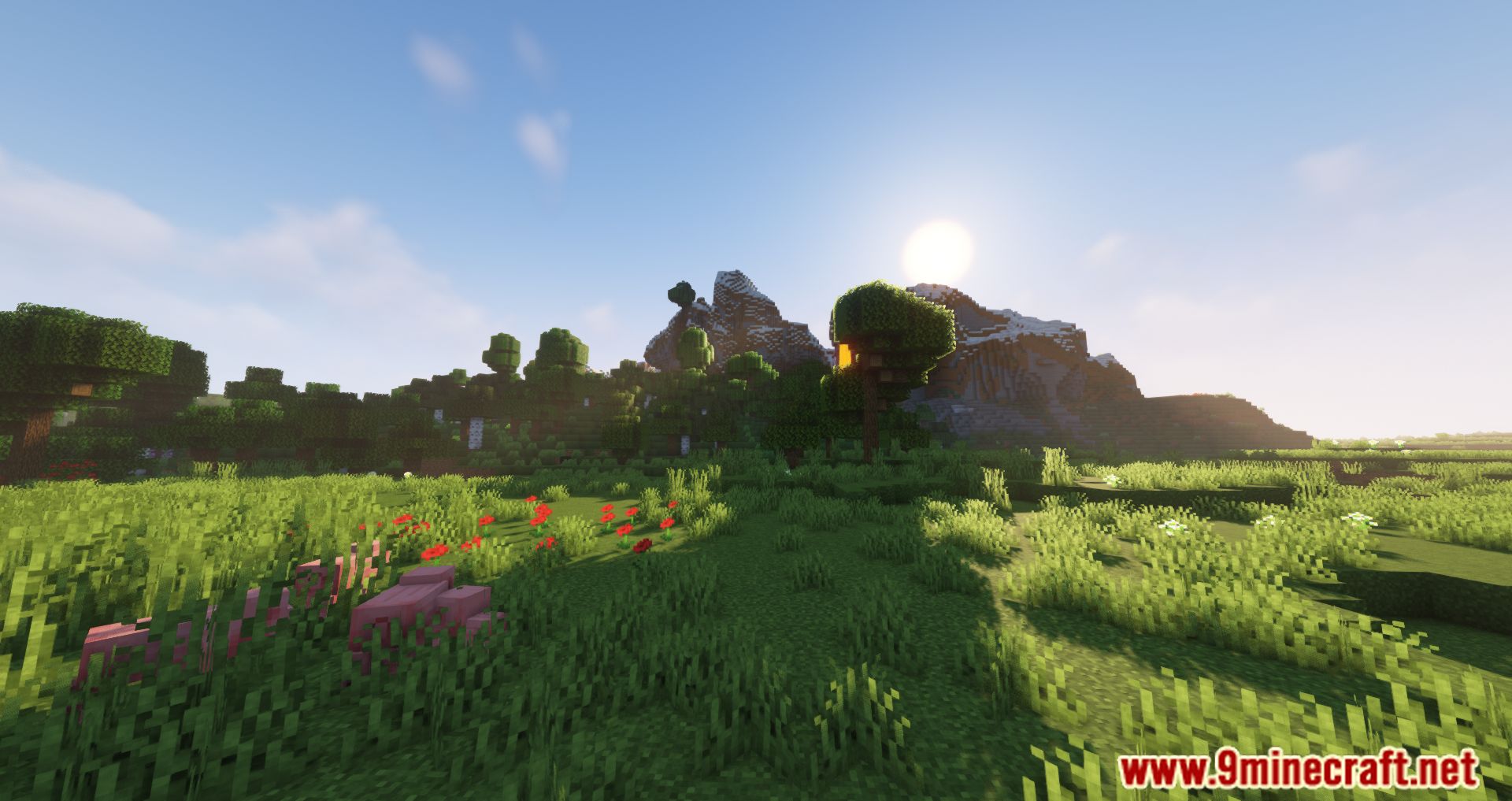 Overworld Two Mod (1.16.5) - Generates Overworld And Nether Terrain Faster 8