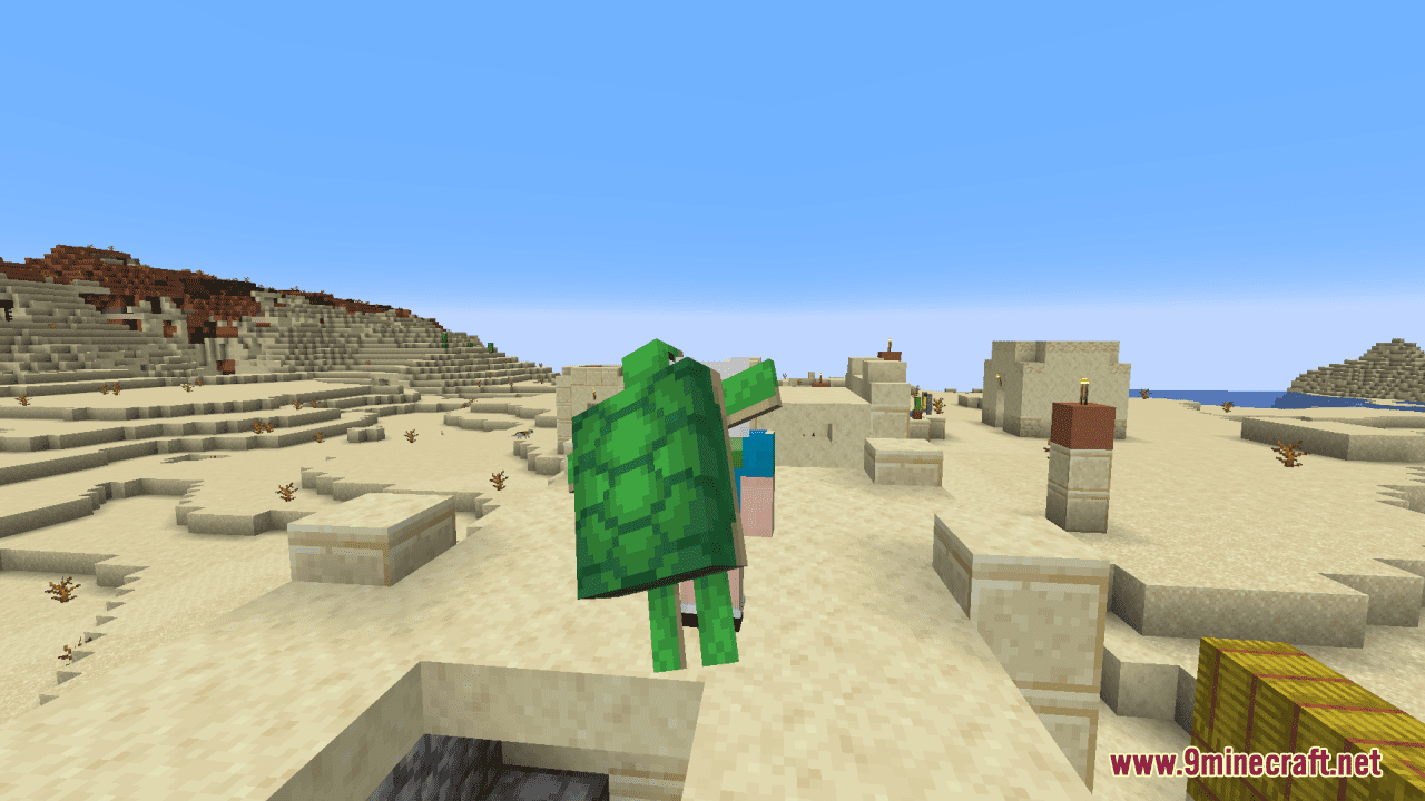 Patri's Turtle Shield Resource Pack (1.20.6, 1.20.1) - Texture Pack 10