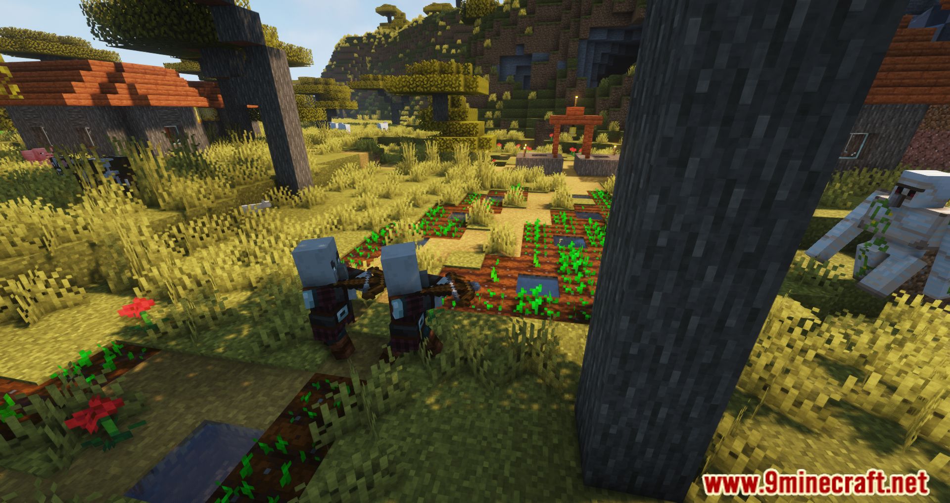 Pillagers Mod (1.16.5, 1.12.2) - Allows You To Get Villager Loot By Killing Them! 4