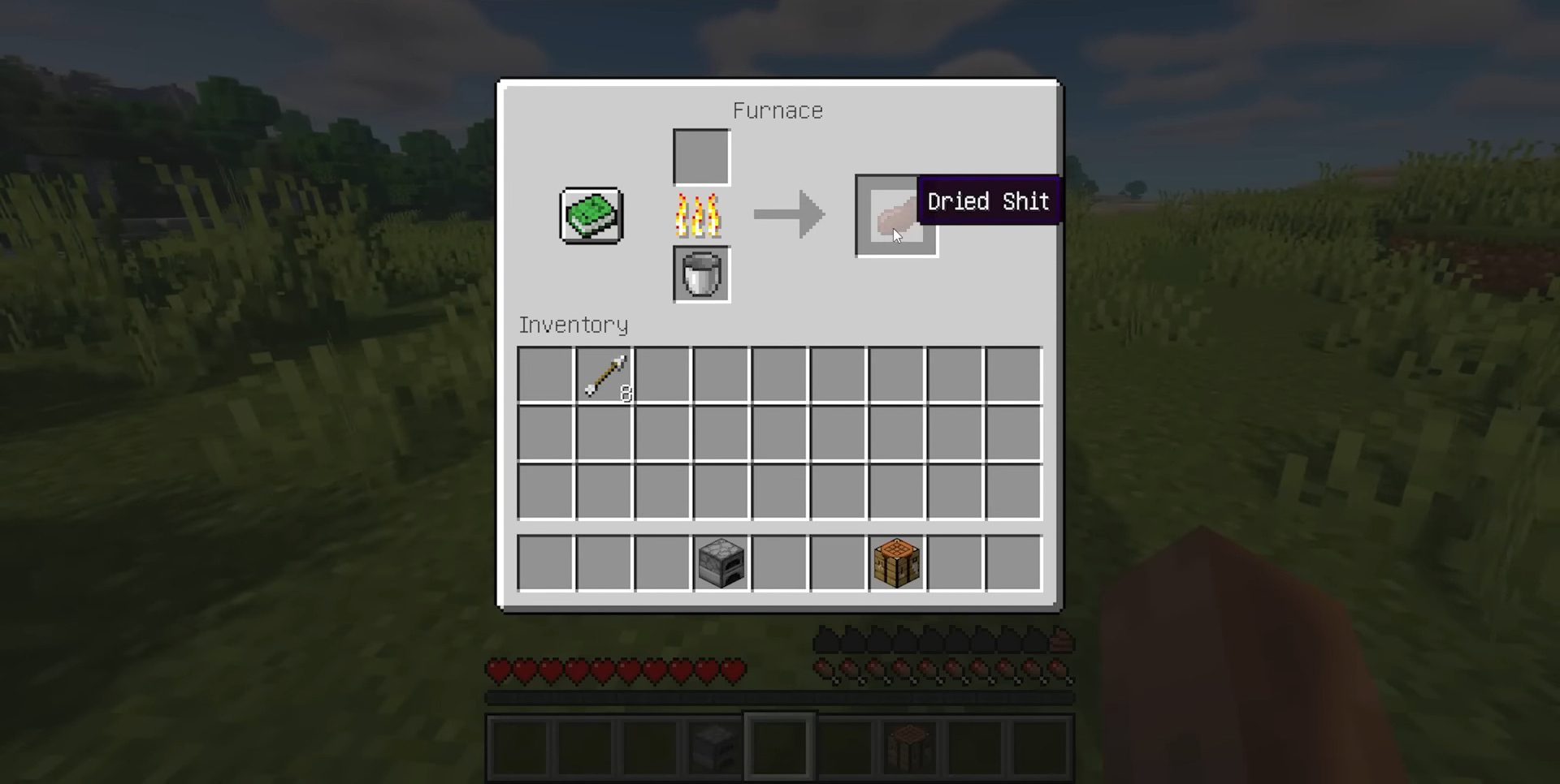 Poops and Farts Mod (1.19.4, 1.19.2) - Realistic Pooping Mechanic 8