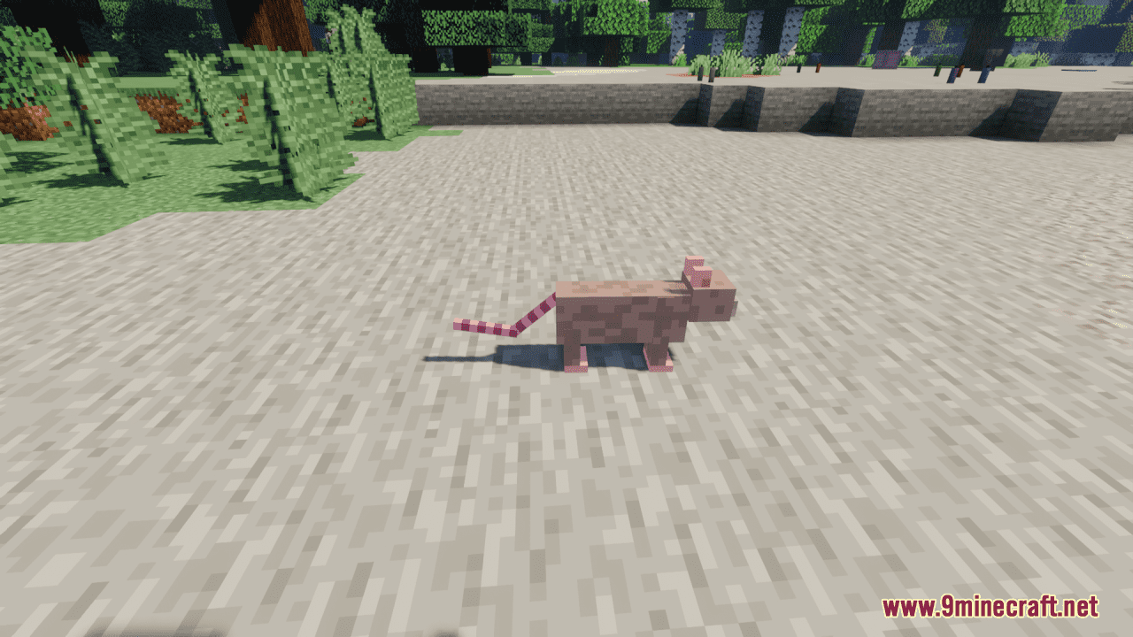 Rats In Minecraft Resource Pack (1.20.6, 1.20.1) - Texture Pack 4