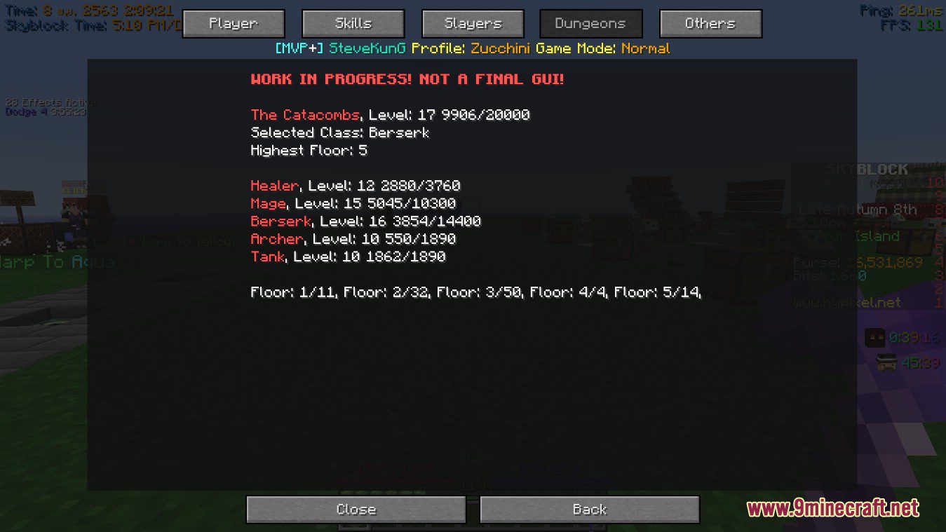 SkyBlockcatia Mod (1.16.5, 1.8.9) - Useful Hypixel Features 6