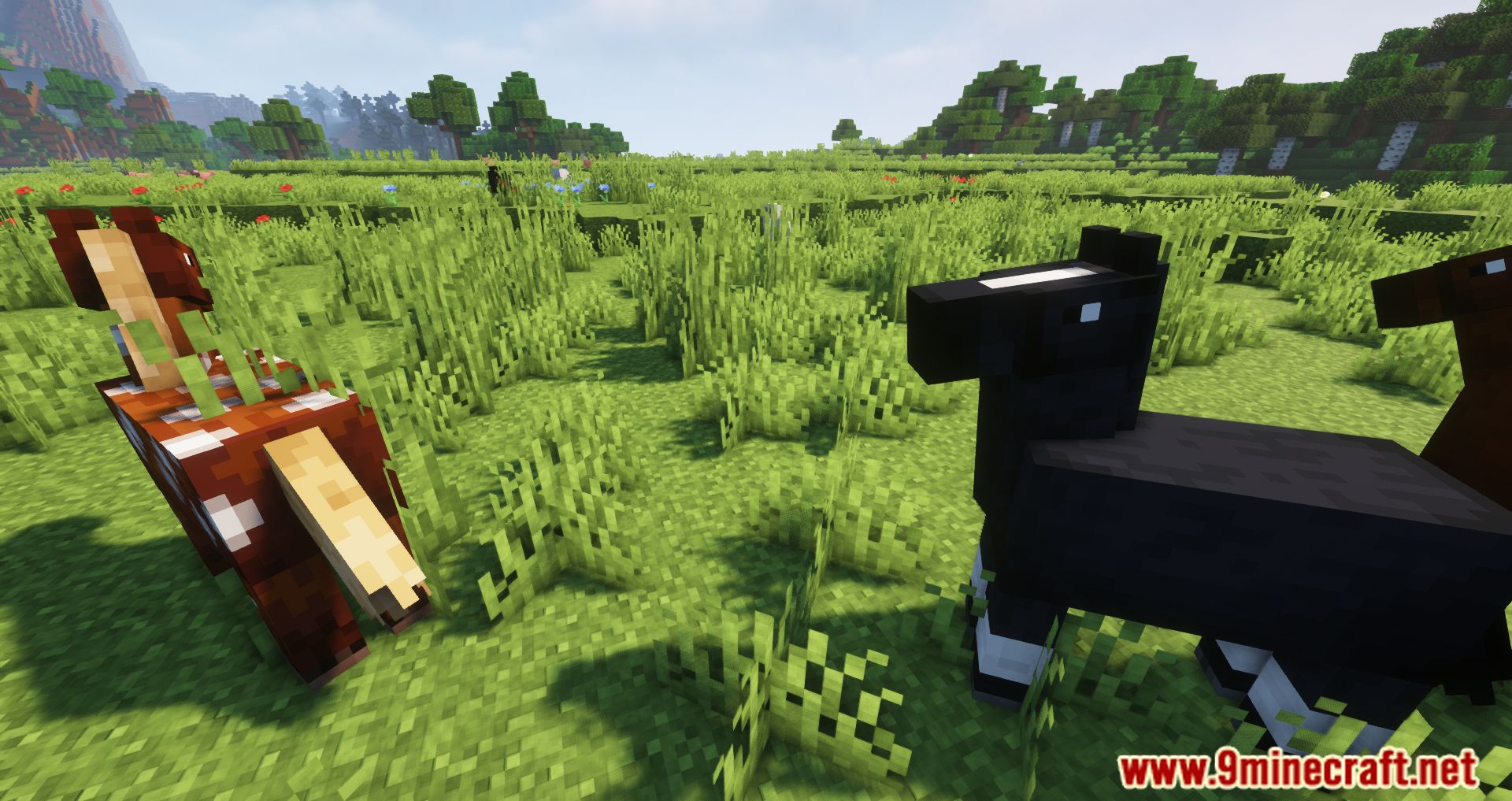 Two Players One Horse Mod (1.16.5) - Join The Ride 5