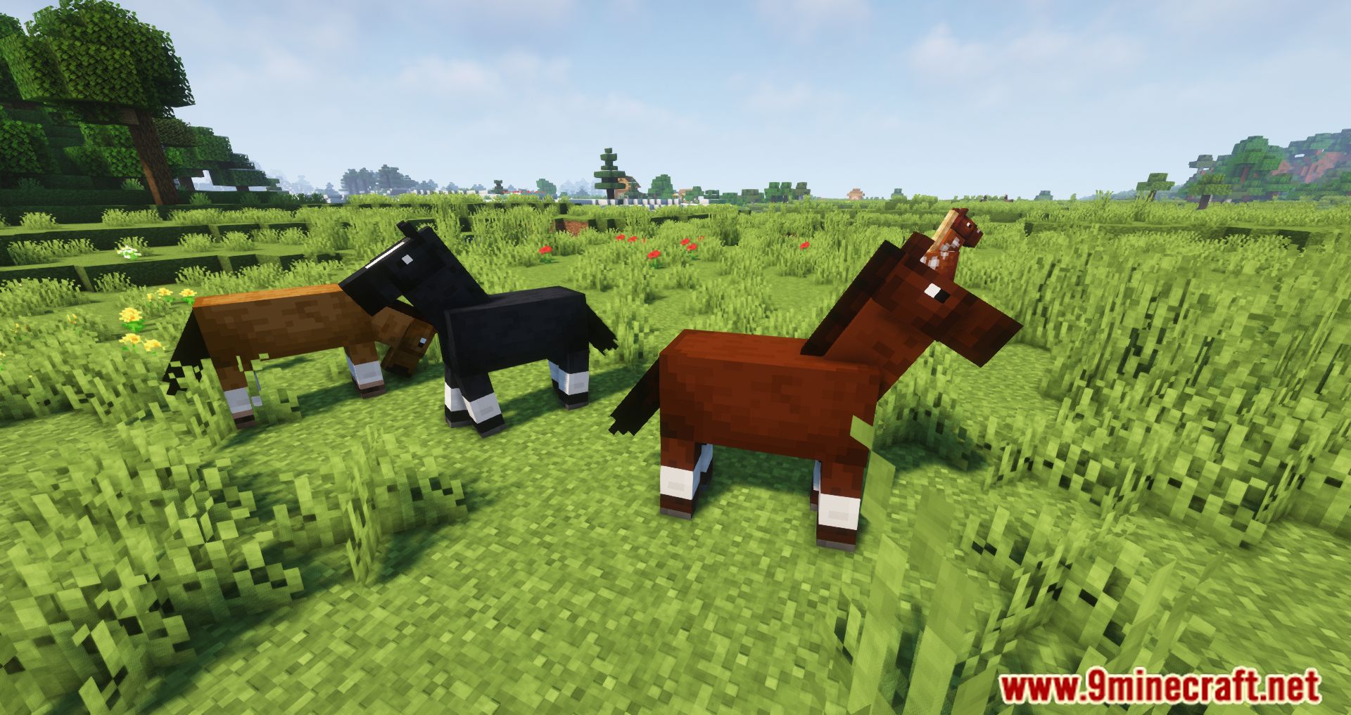 Two Players One Horse Mod (1.16.5) - Join The Ride 6