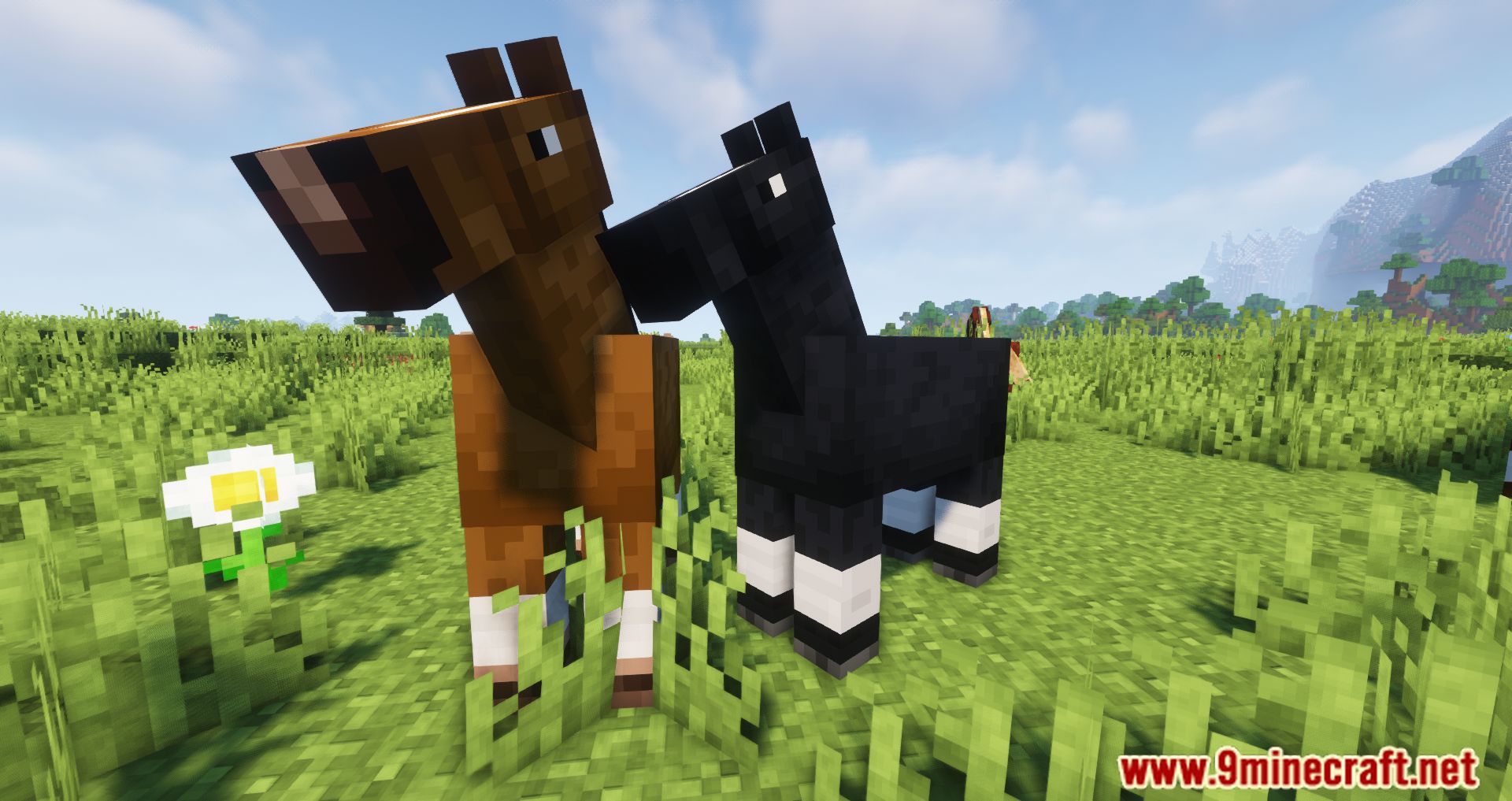 Two Players One Horse Mod (1.16.5) - Join The Ride 7