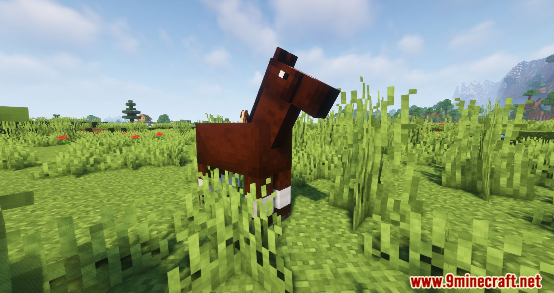 Two Players One Horse Mod (1.16.5) - Join The Ride 8