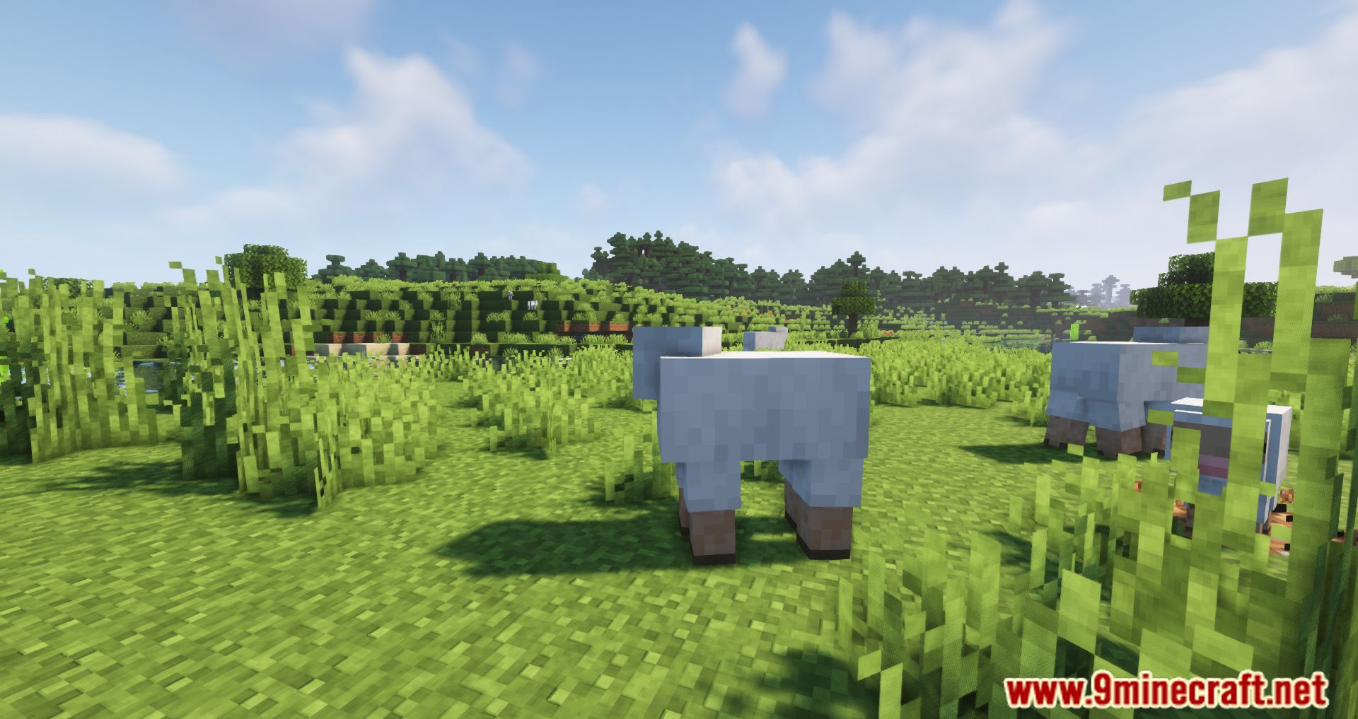 Well-Behaved Mobs Mod (1.16.5, 1.15.2) - Minor Tweaks To The Behavior Of A Few Mobs 4