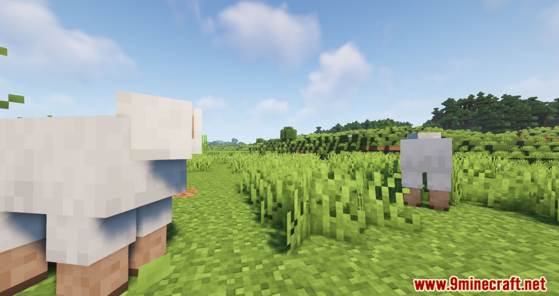 Well-Behaved Mobs Mod (1.16.5, 1.15.2) - Minor Tweaks To The Behavior Of A Few Mobs 5