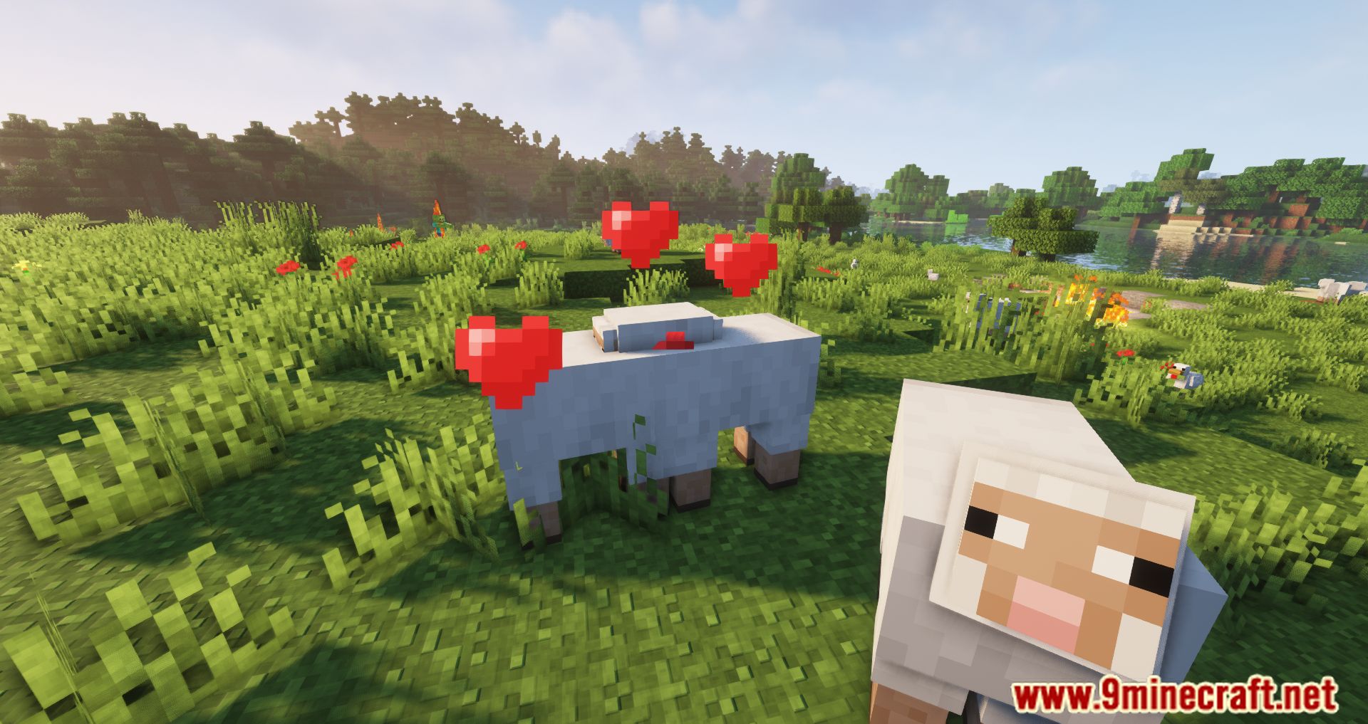 Well-Behaved Mobs Mod (1.16.5, 1.15.2) - Minor Tweaks To The Behavior Of A Few Mobs 13
