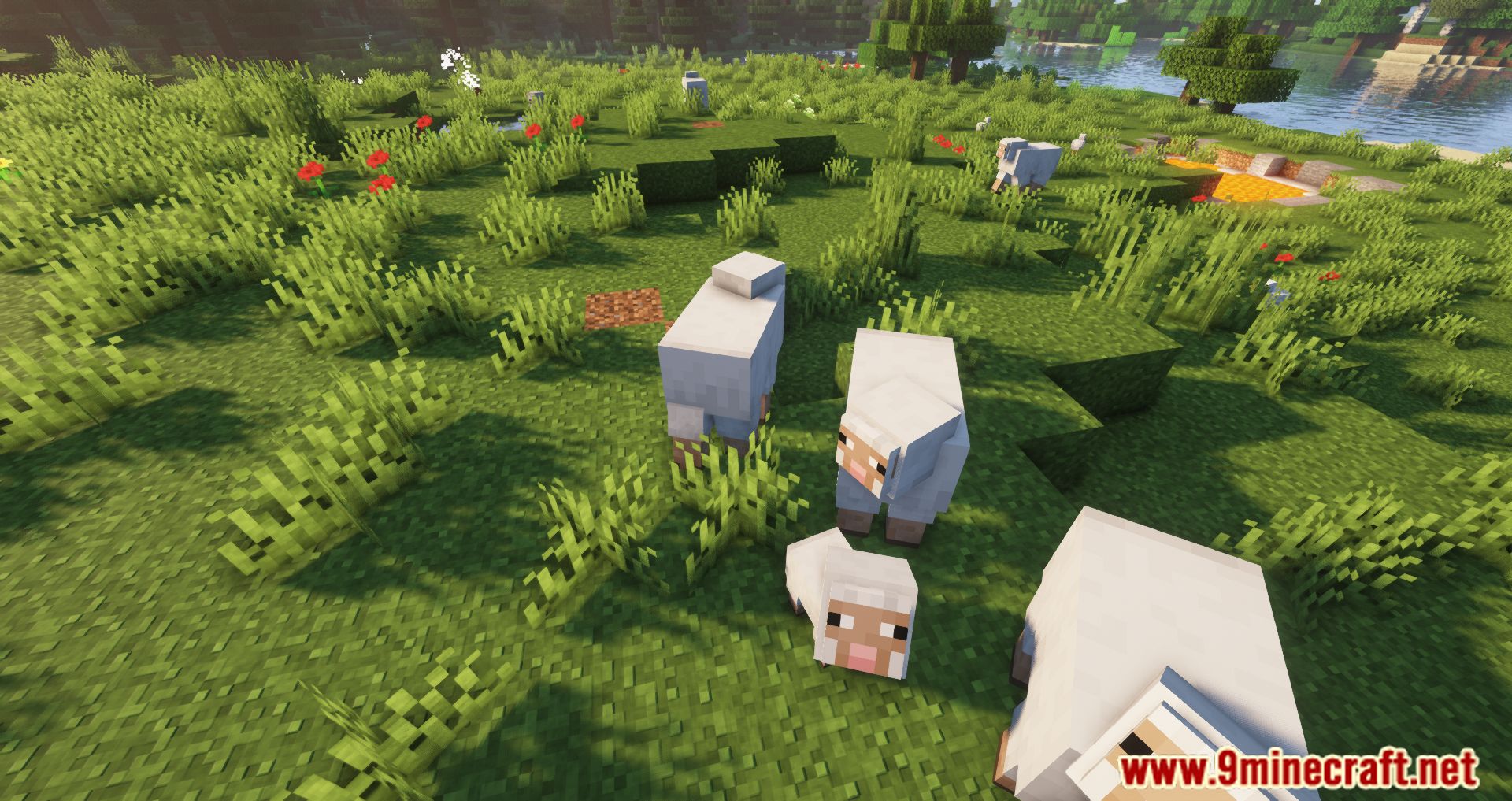 Well-Behaved Mobs Mod (1.16.5, 1.15.2) - Minor Tweaks To The Behavior Of A Few Mobs 14