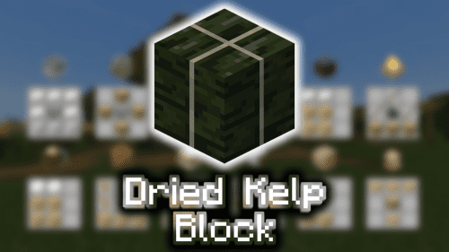 Dried Kelp Block – Wiki Guide Thumbnail