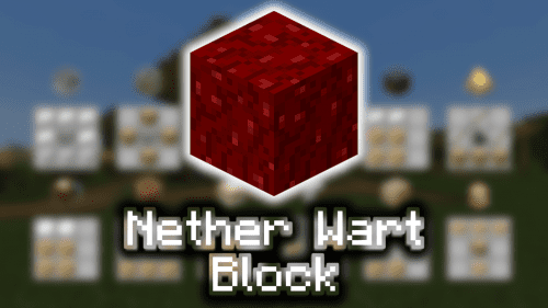 Nether Wart Block – Wiki Guide Thumbnail