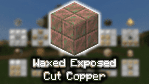 Waxed Exposed Cut Copper – Wiki Guide Thumbnail