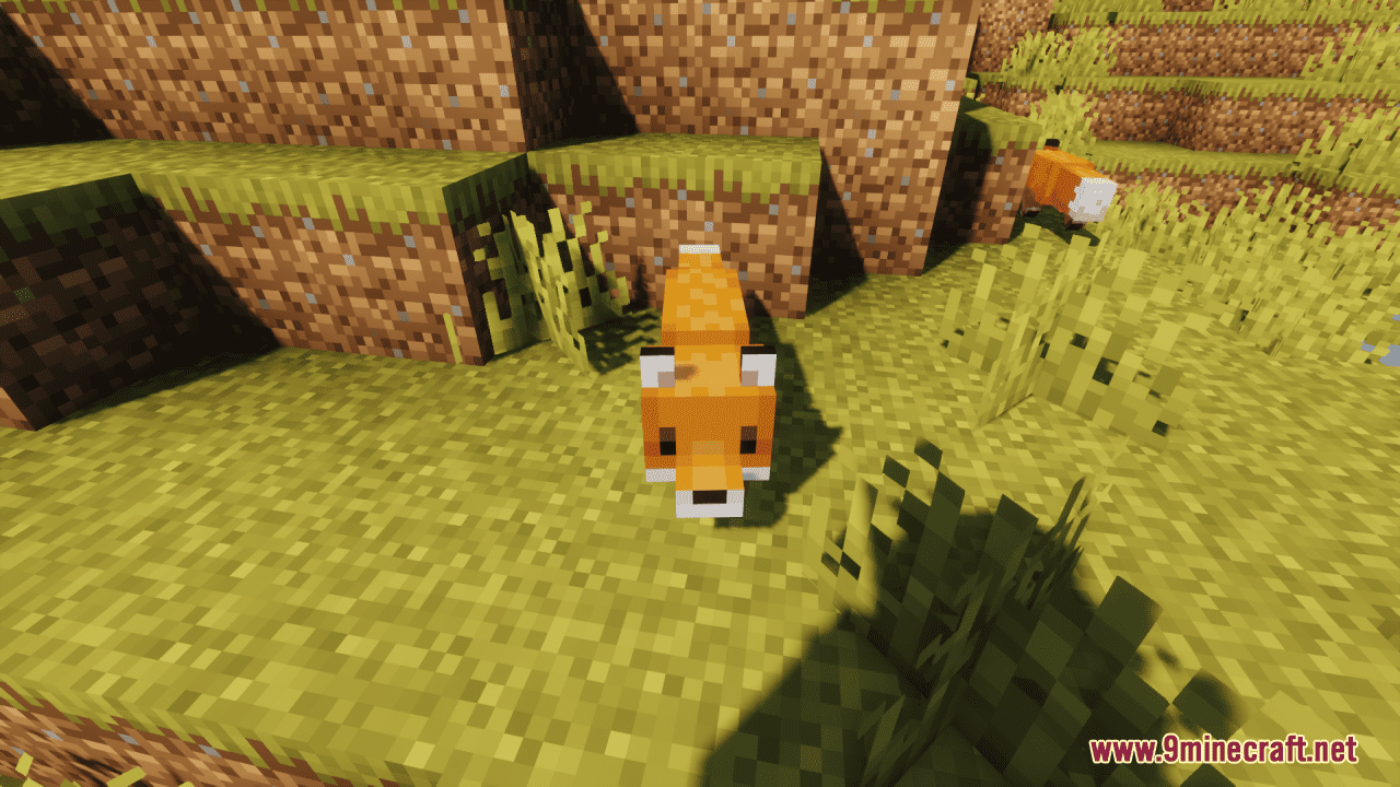 Cuter Foxes Resource Pack (1.20.6, 1.20.1) - Texture Pack 3