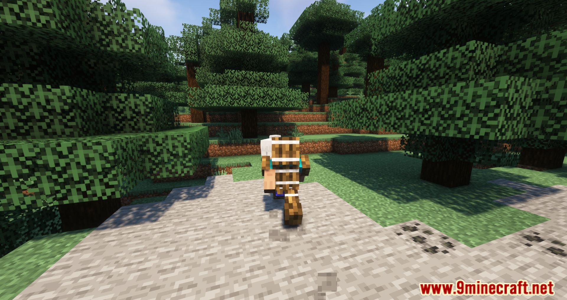 DiceMC Tiered Armors Mod (1.19, 1.18.2) - Wood Armor, and more! 9