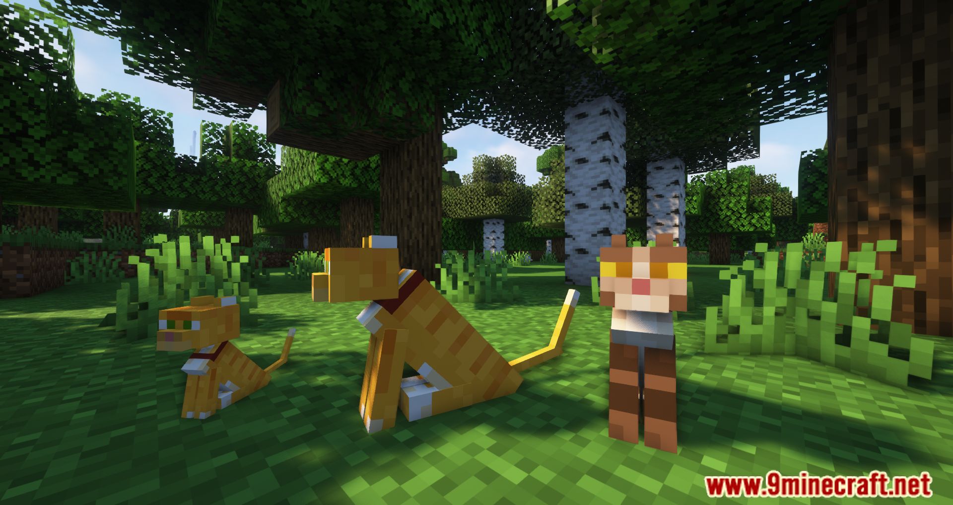 GUI Followers Mod (1.20.4, 1.19.4) - Shows A List Of All Tamed Non-sitting 9