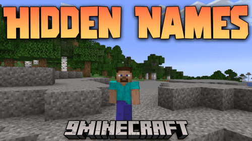 Hidden Names Mod (1.21.1, 1.20.1) – Hide And Customize Other Player Names Thumbnail