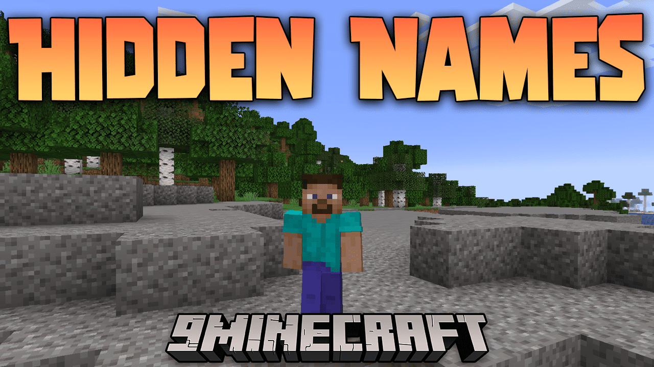 Hidden Names Mod (1.19.4, 1.18.2) - Hide And Customize Other Player Names 1