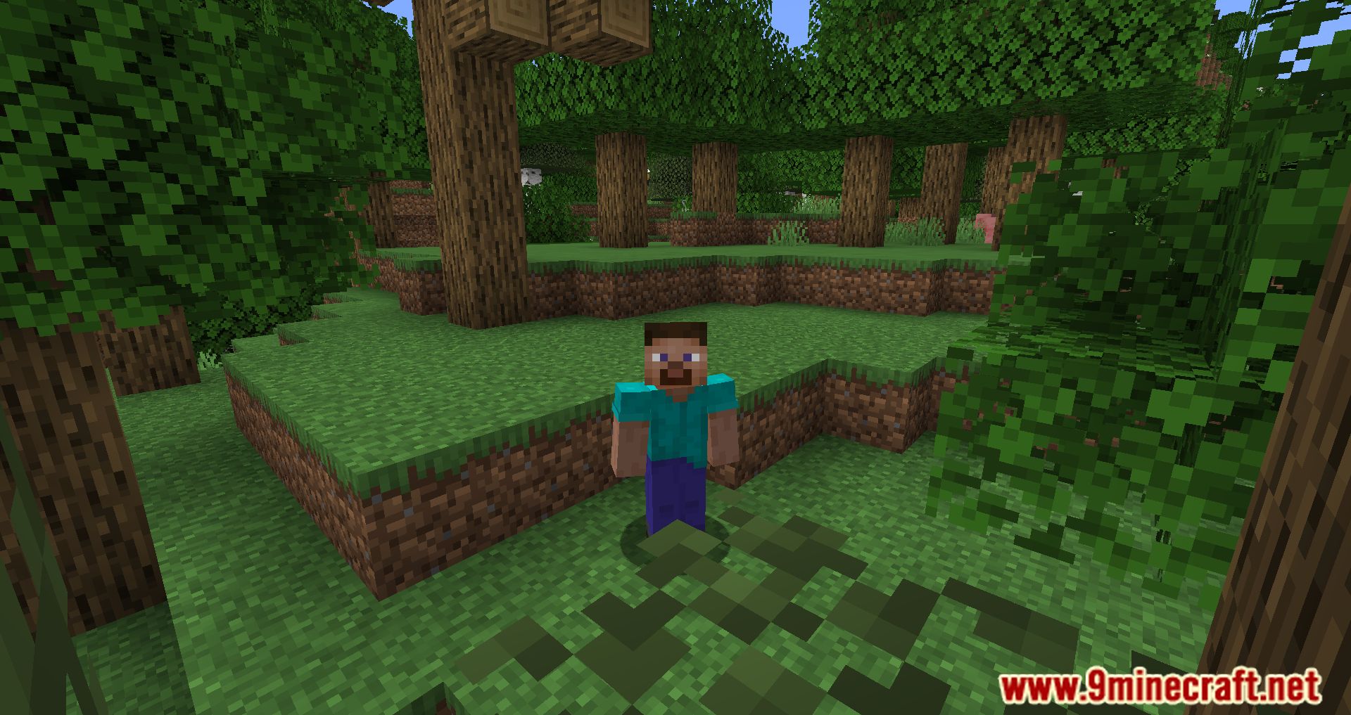 Hidden Names Mod (1.19.4, 1.18.2) - Hide And Customize Other Player Names 4