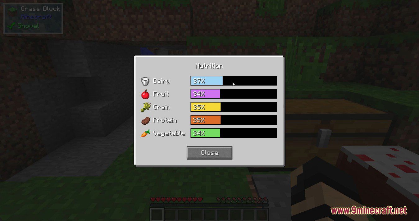 Nutrition Mod (1.12.2) - Ensure You Eat Healthy 5