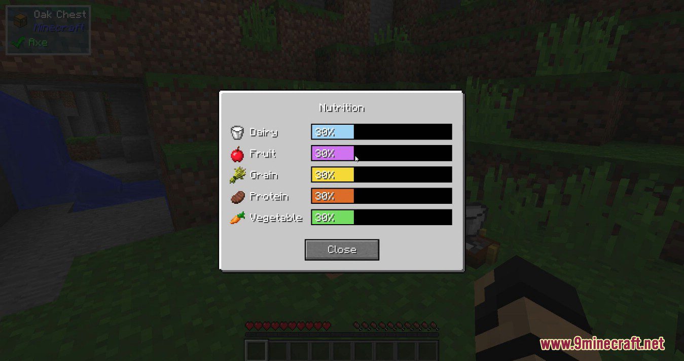 Nutrition Mod (1.12.2) - Ensure You Eat Healthy 6