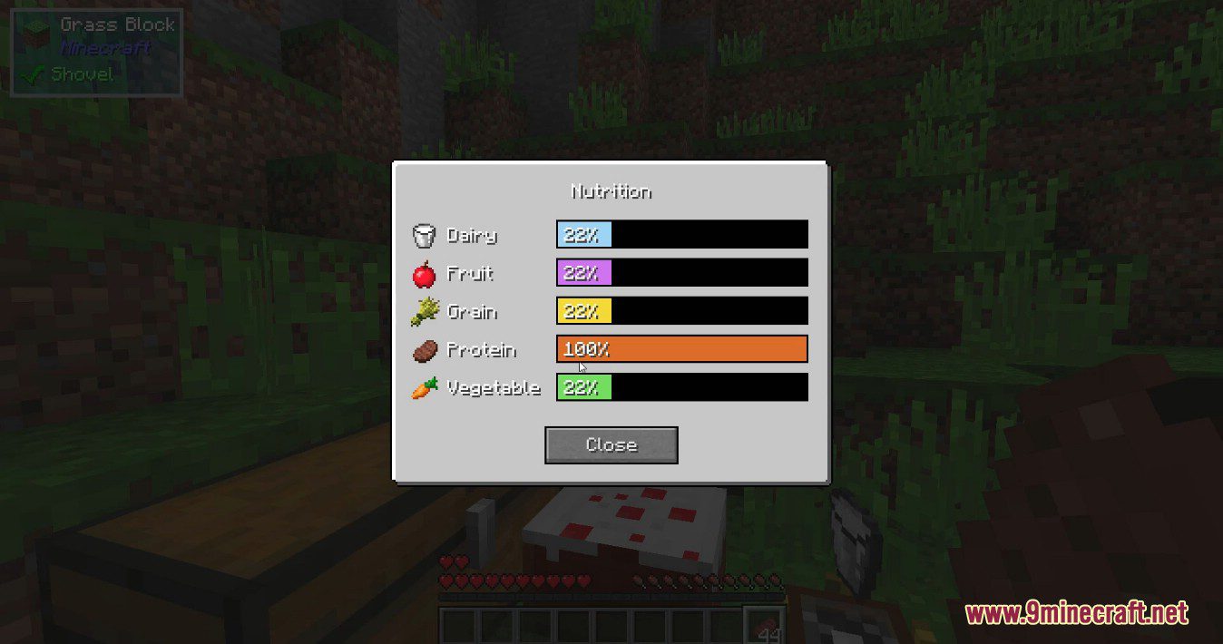 Nutrition Mod (1.12.2) - Ensure You Eat Healthy 8