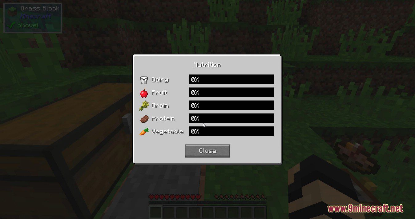 Nutrition Mod (1.12.2) - Ensure You Eat Healthy 9