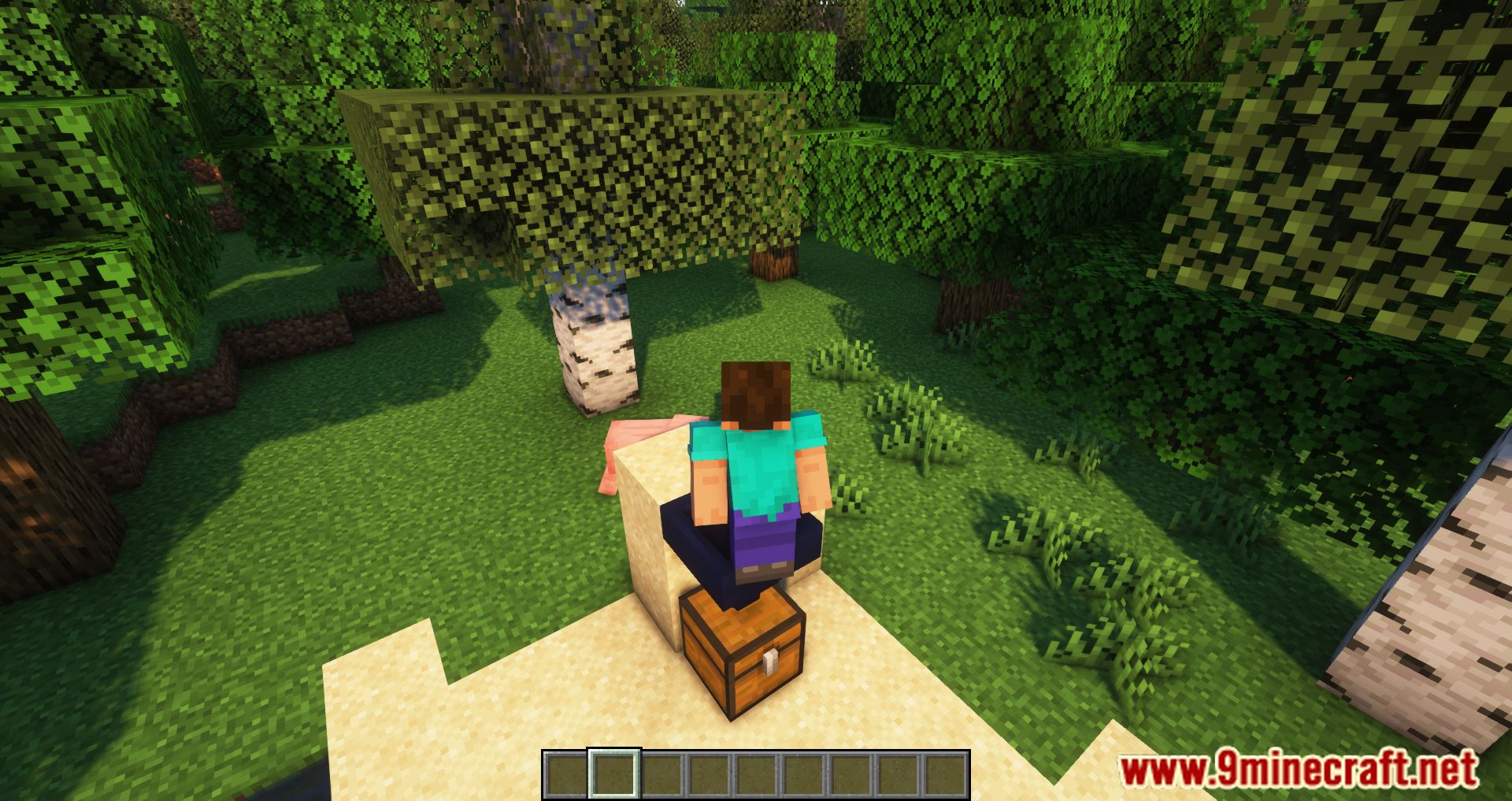 Player Hopper Mod (1.20.4, 1.19.4) - A Hopper That Pulls Items From A Player's Inventory. 8