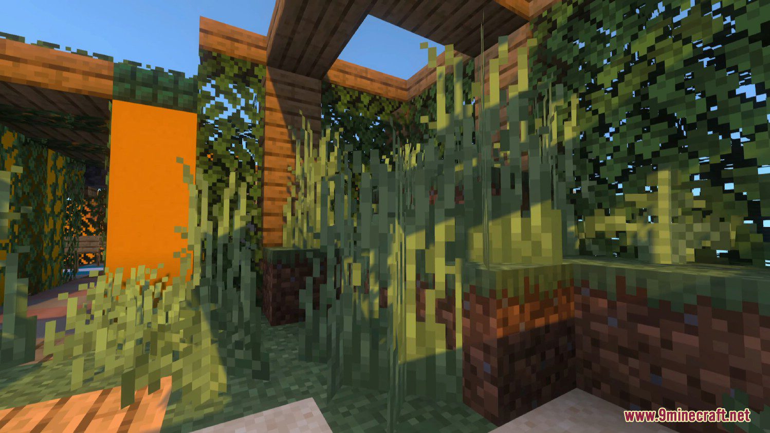 Seamatis Vibrant Shaders (1.20, 1.19.4) - SM Shaders 3