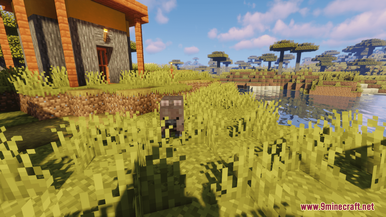The Australian Zoology Resource Pack (1.19.4, 1.19.2) - Texture Pack 8