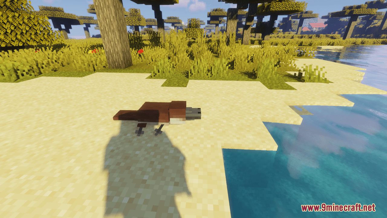 The Australian Zoology Resource Pack (1.19.4, 1.19.2) - Texture Pack 10