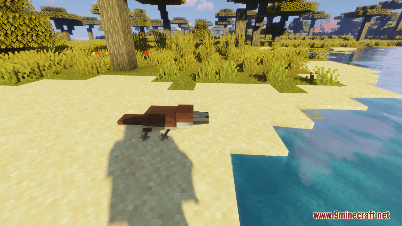 The Australian Zoology Resource Pack (1.20.6, 1.20.1) - Texture Pack 10