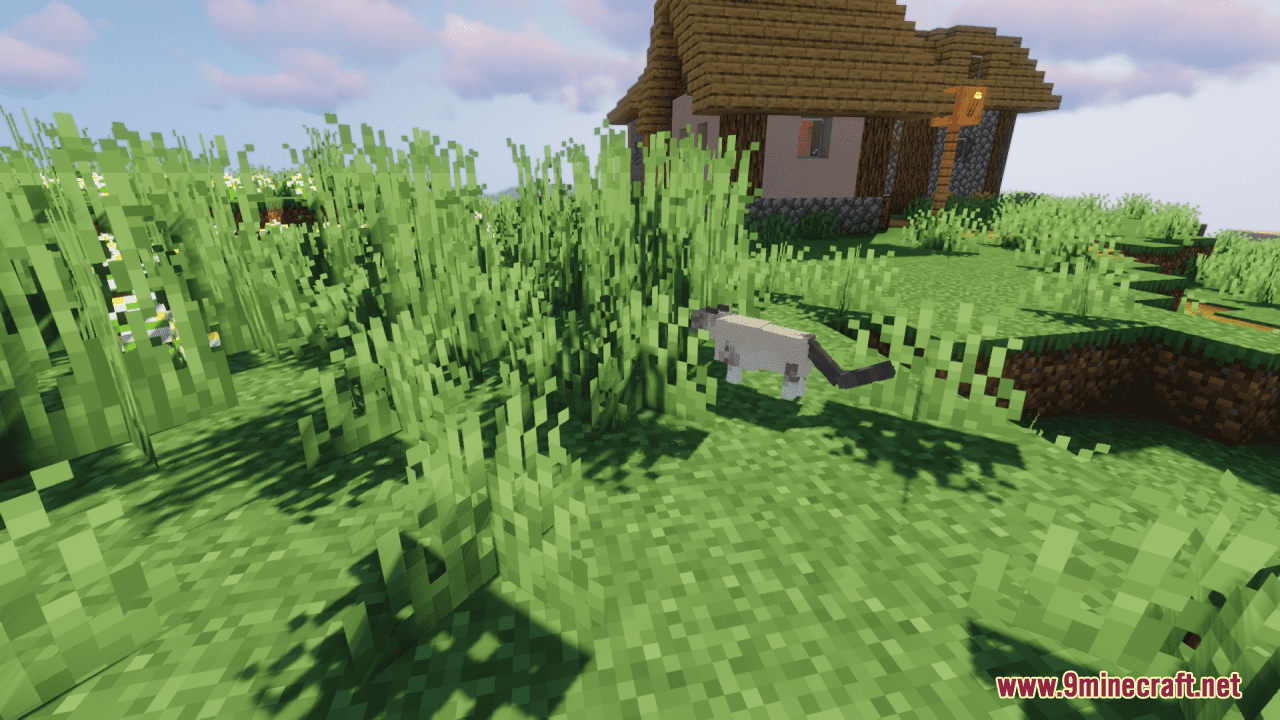 Too Many Cats Resource Pack (1.20.6, 1.20.1) - Texture Pack 11