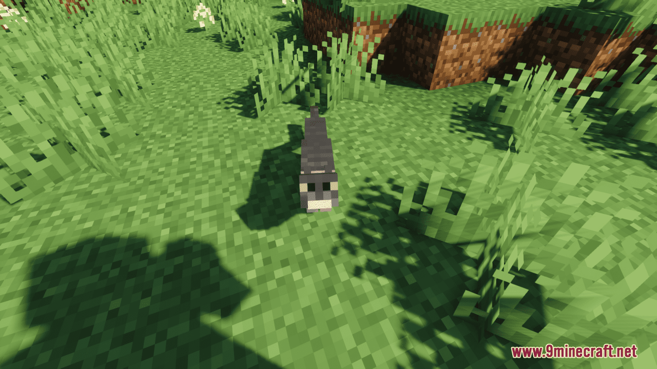 Too Many Cats Resource Pack (1.20.6, 1.20.1) - Texture Pack 12