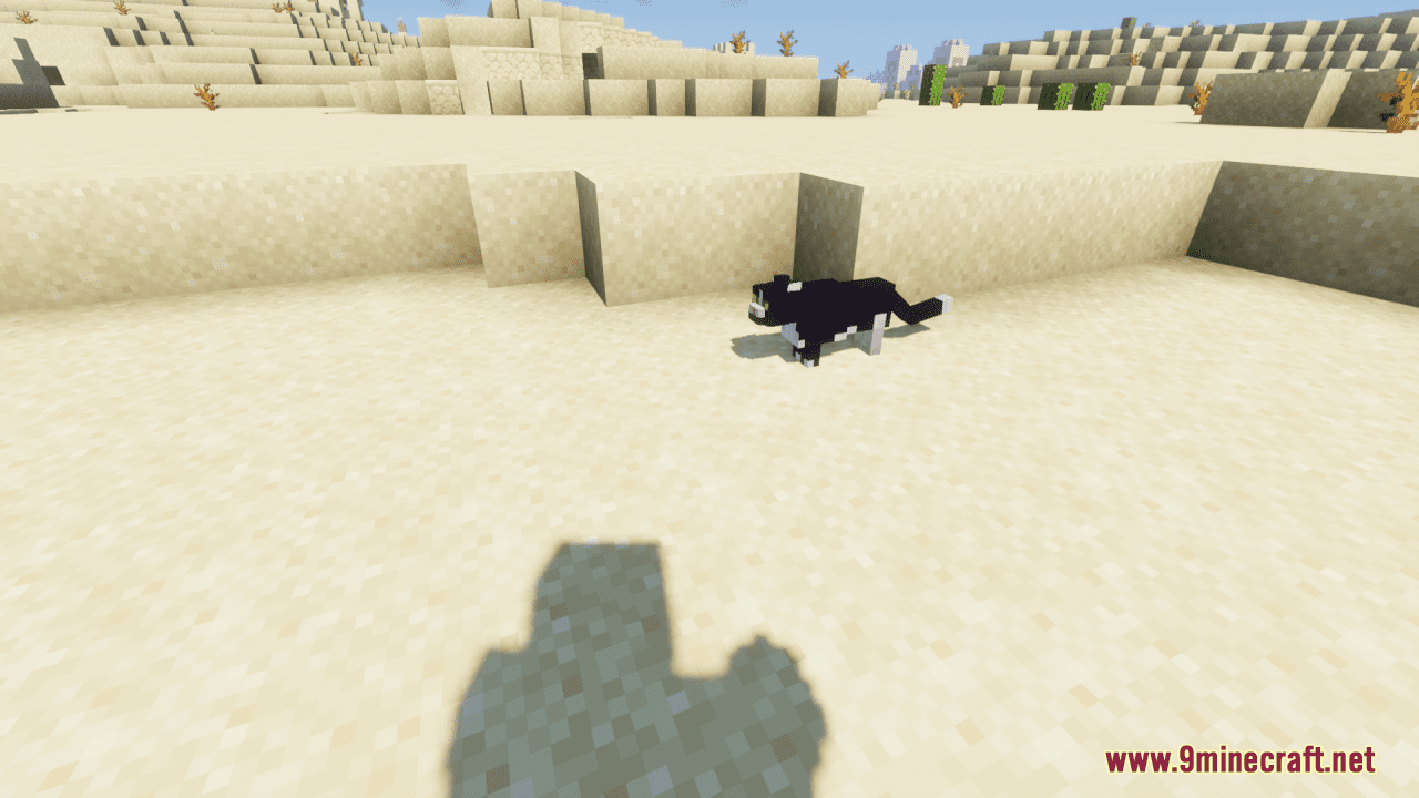 Too Many Cats Resource Pack (1.20.6, 1.20.1) - Texture Pack 3