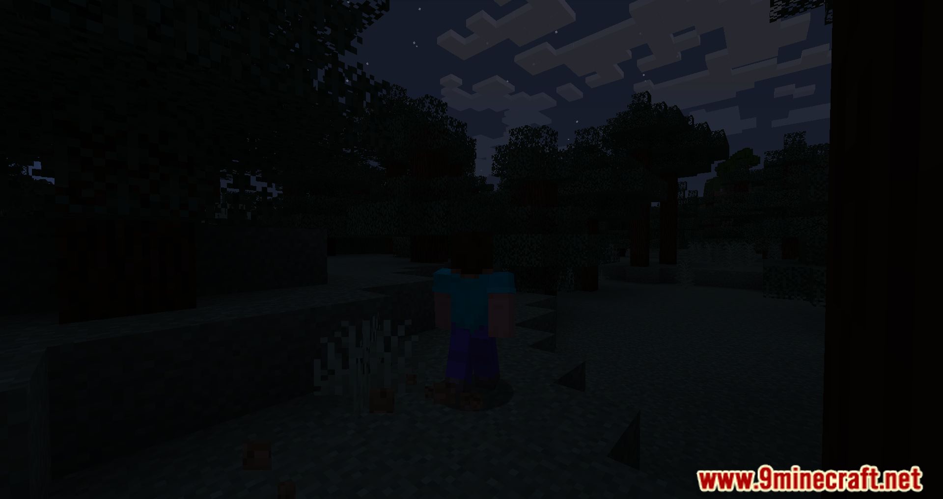 Total Darkness Mod (1.16.5) - Moonless Nights And Unlit Caverns 6