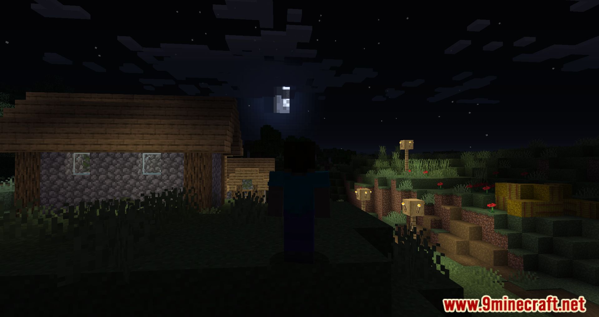 Total Darkness Mod (1.16.5) - Moonless Nights And Unlit Caverns 7