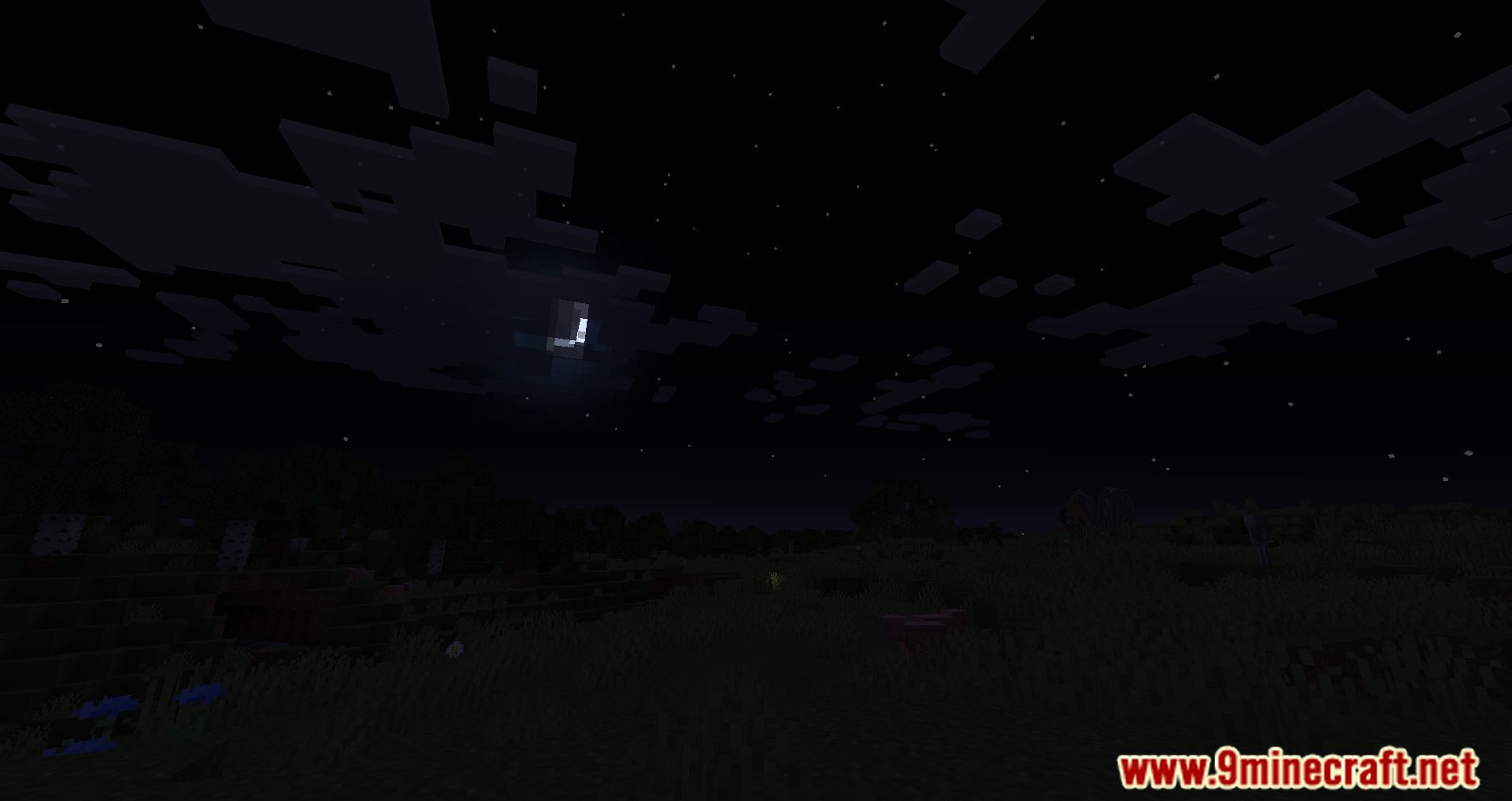 Total Darkness Mod (1.16.5) - Moonless Nights And Unlit Caverns 8