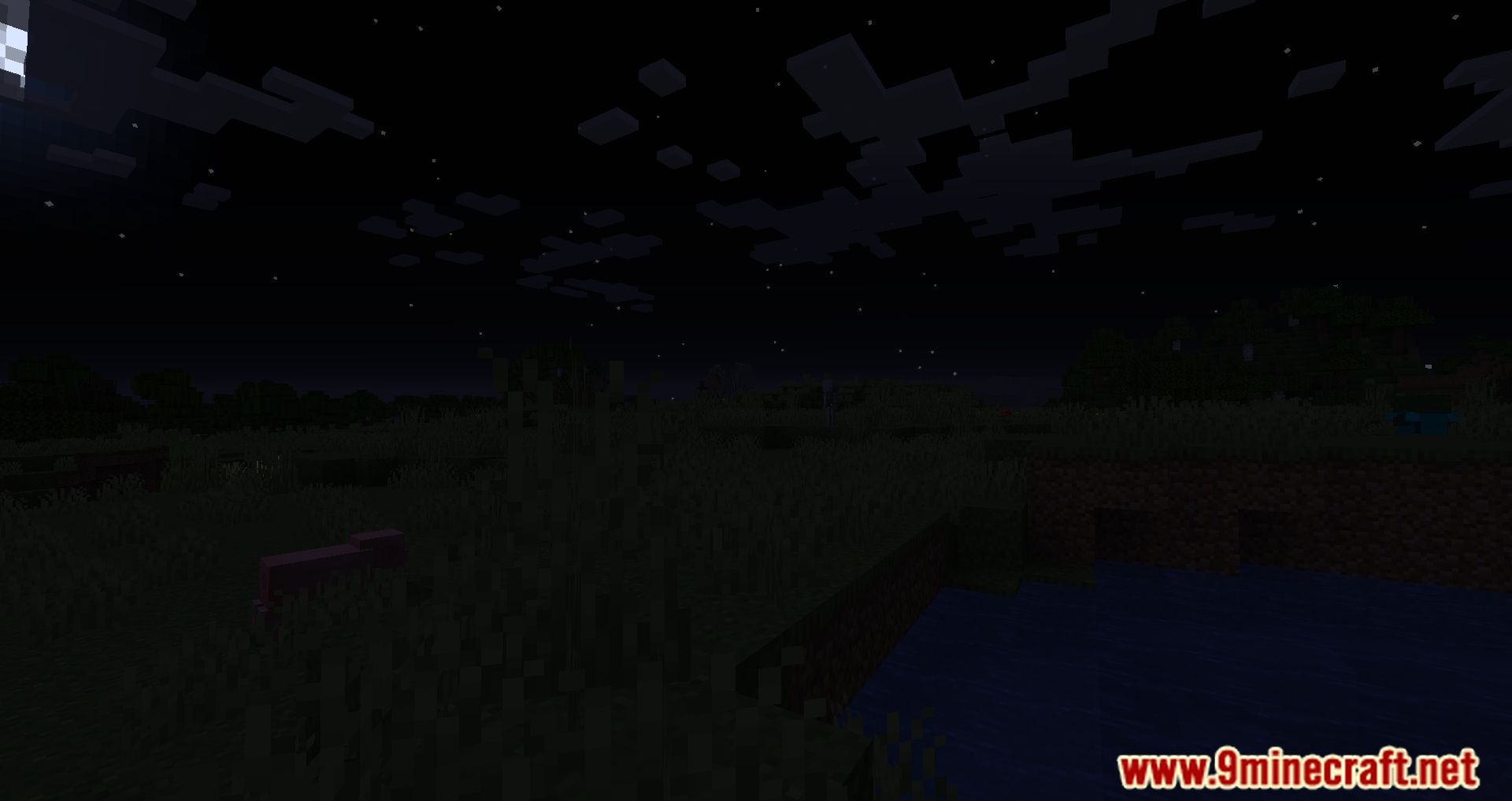 Total Darkness Mod (1.16.5) - Moonless Nights And Unlit Caverns 9
