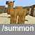 Camel Mob - Wiki Guide 11