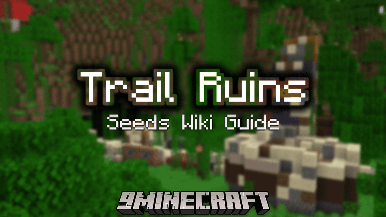 Trail Ruins Seeds - Wiki Guide 1