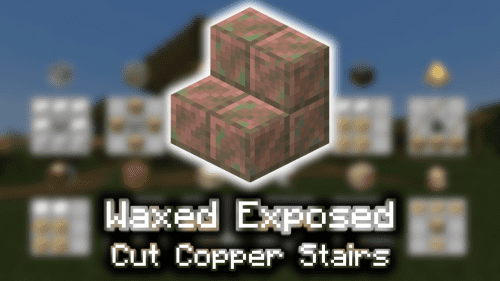 Waxed Exposed Cut Copper Stairs – Wiki Guide Thumbnail