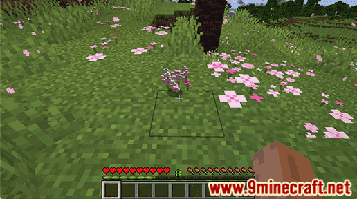 Pink Petals - Wiki Guide 6