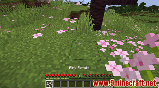 Pink Petals - Wiki Guide 7