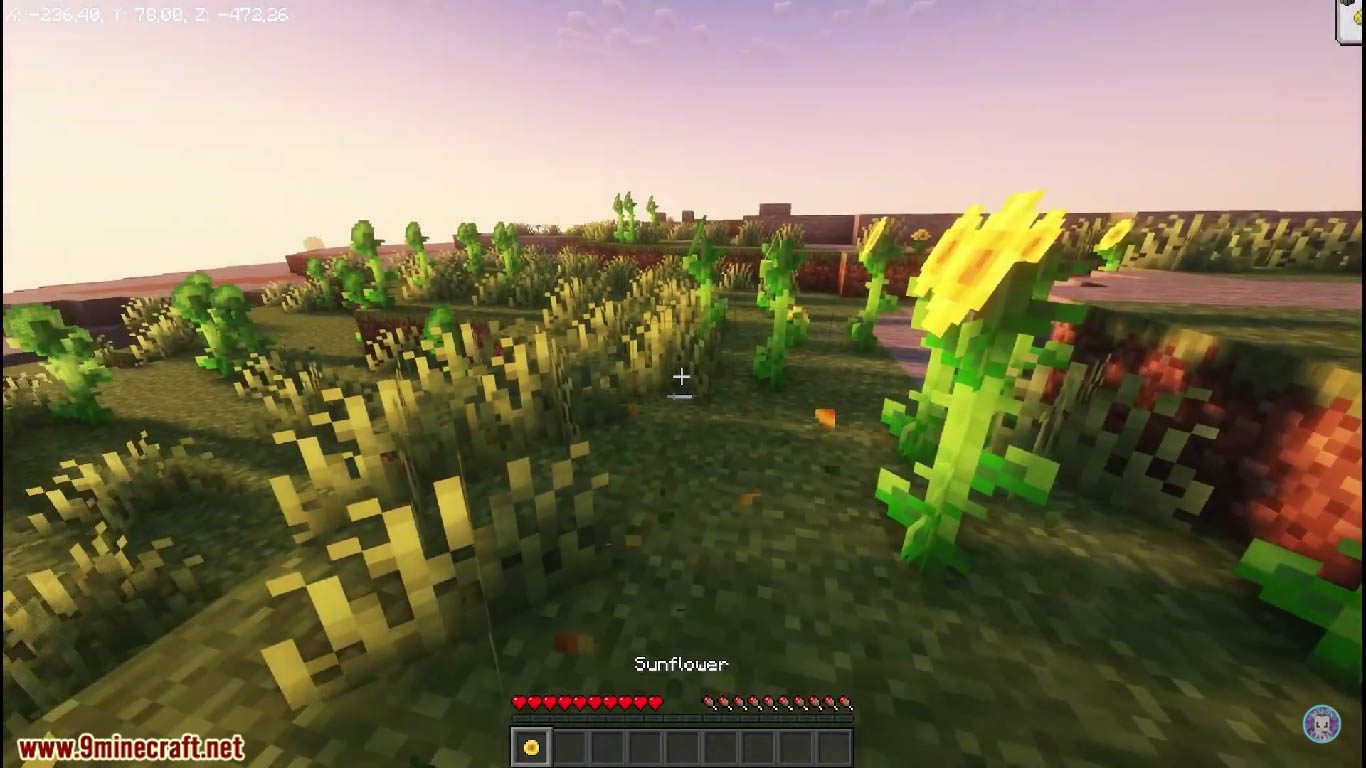 Incredible Rare Minecraft Seeds (1.20.6, 1.20.1) - Java/Bedrock Edition 7