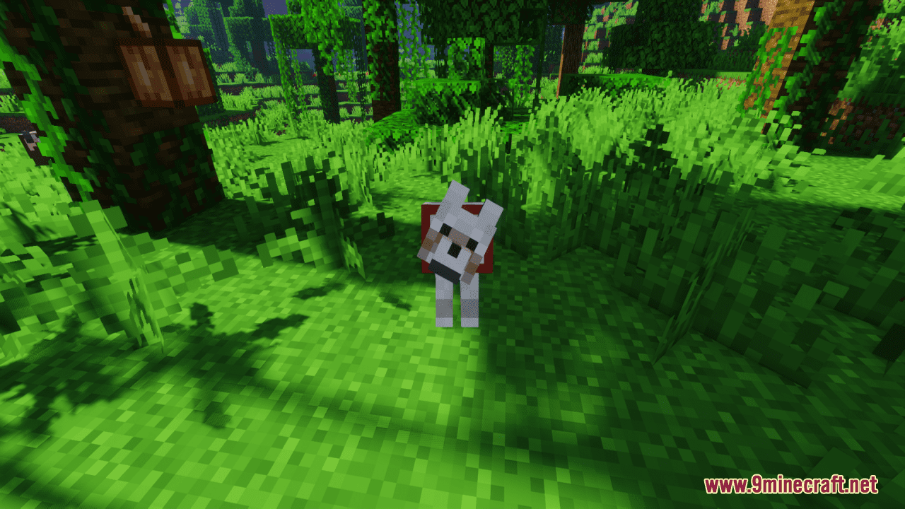 Better Wolf Collar Resource Pack (1.20.6, 1.20.1) - Texture Pack 7