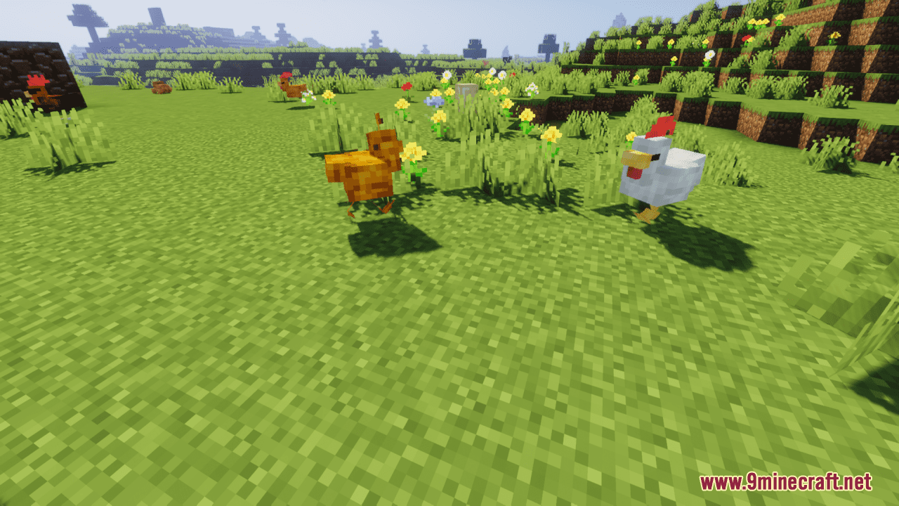 Cluckier Chickens Resource Pack (1.20.6, 1.20.1) - Texture Pack 12